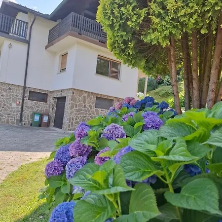 Apartma Elizabeta Apartman *